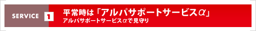 平常時は「アルパサポートサービス」アルパサポートサービスで見守り