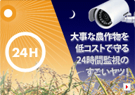 大事な農作物を低コストで守る24時間監視のすごいヤツ！