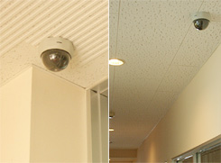 写真：天井に設置されたセンサー